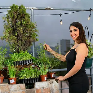 https://olympus-plaza.hotelsquito.com